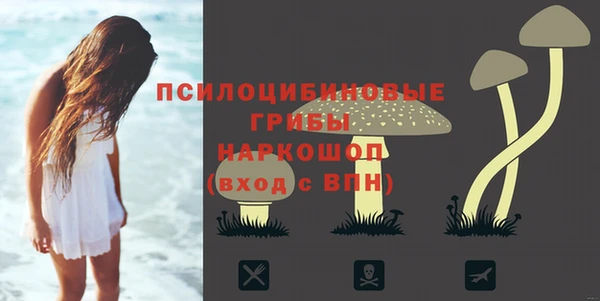 героин Абаза