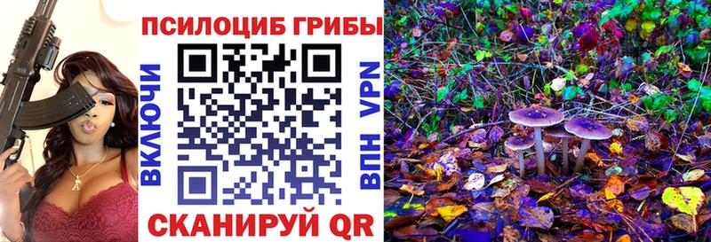 где купить наркотик Чердынь это Telegram Галлюциногенные грибы MAGIC MUSHROOMS